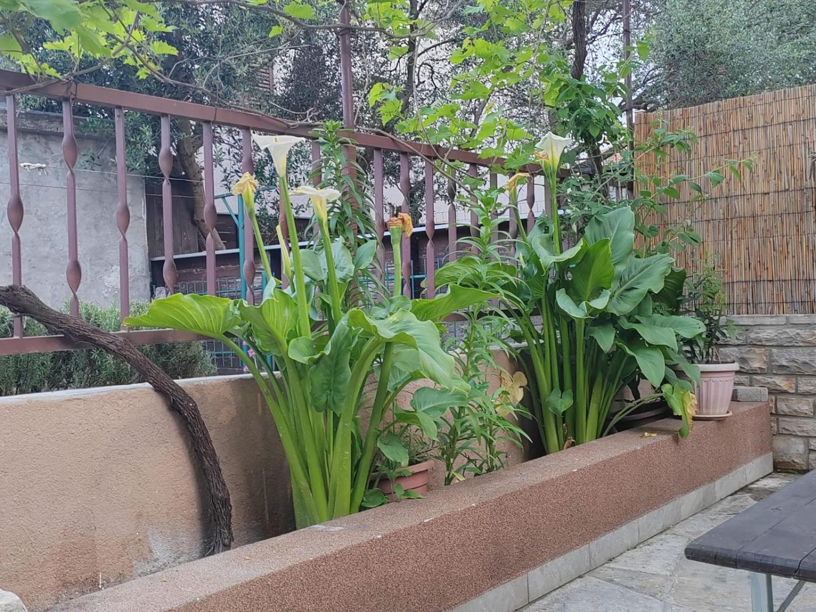 Apartman Oli Zadar Buitenkant foto